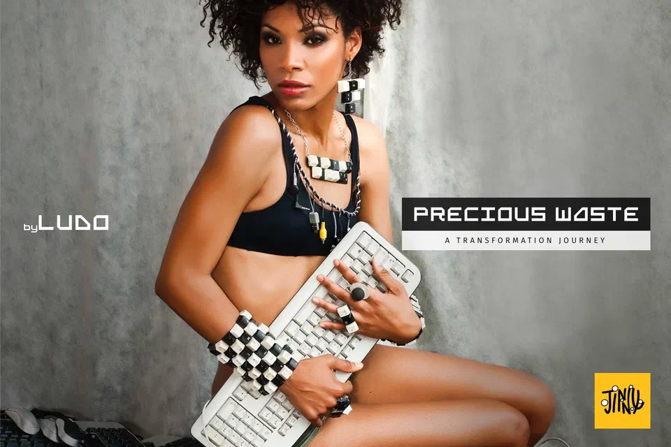 Poster for Precious Waste