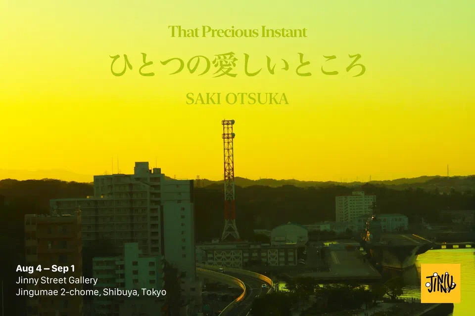 Poster for That Precious Instant