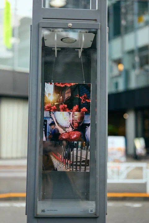 Tokyo Flâneur, photo 9